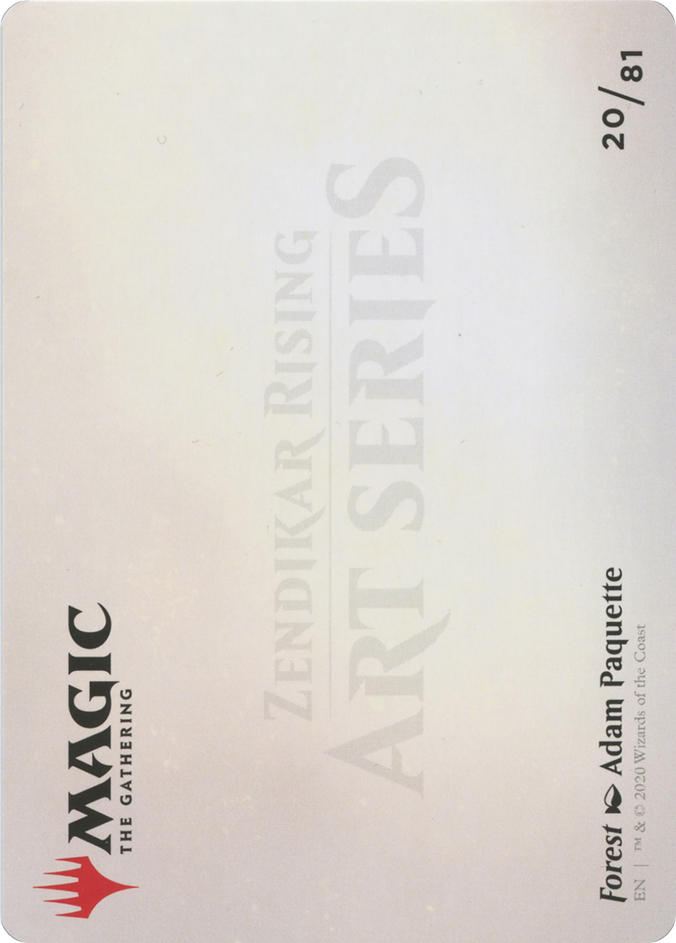 Forest // Forest - Borderless [AZNR-20]