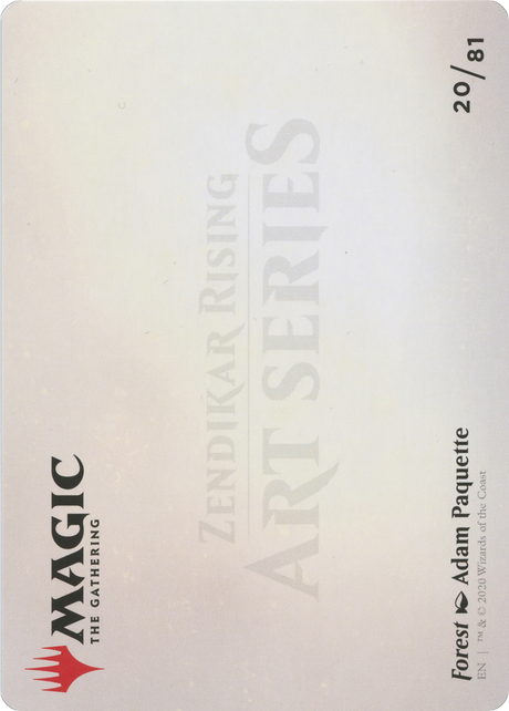 Forest // Forest - Borderless [AZNR-20]