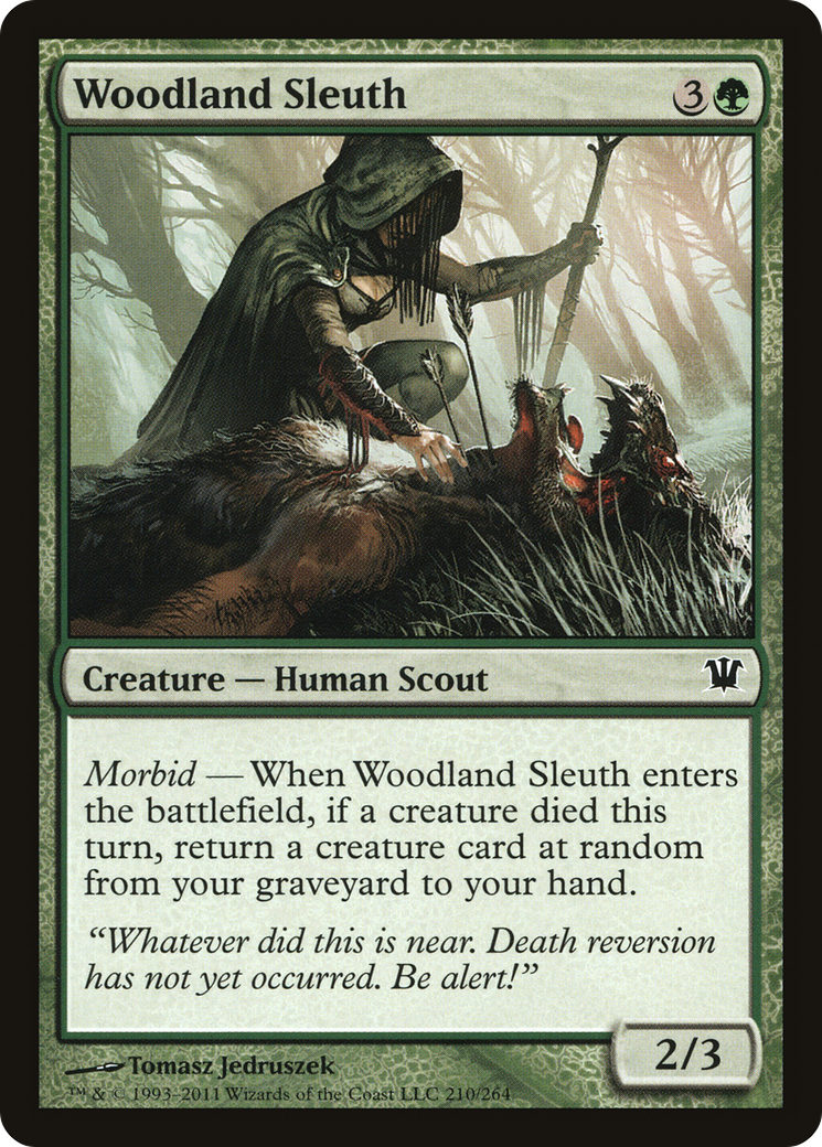 Woodland Sleuth [ISD-210]