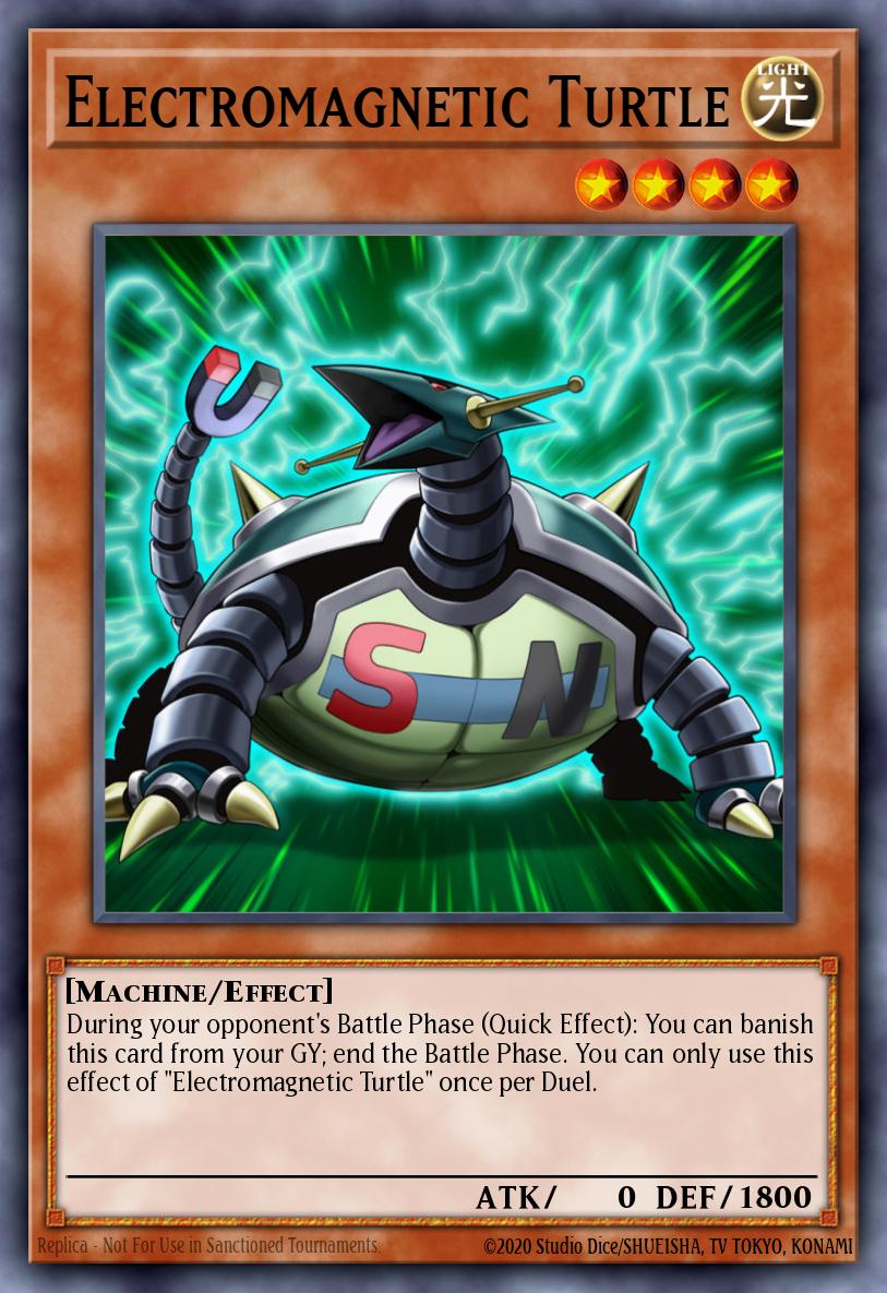 Electromagnetic Turtle [EGS1-EN013]