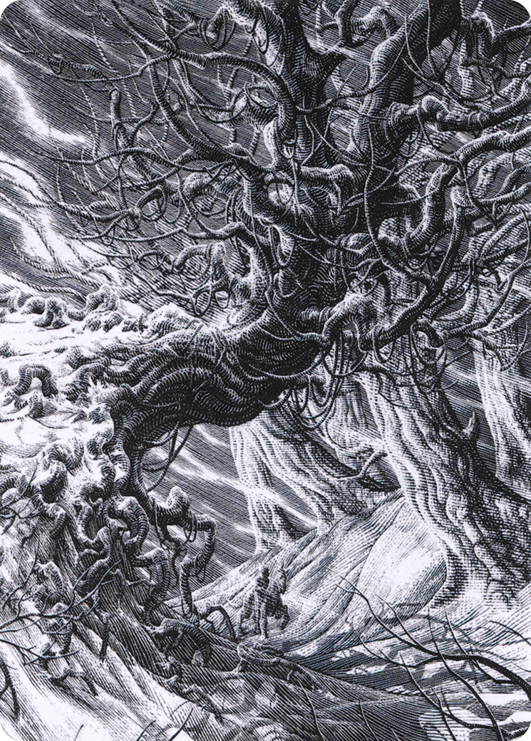 Forest // Forest [AVOW-81]