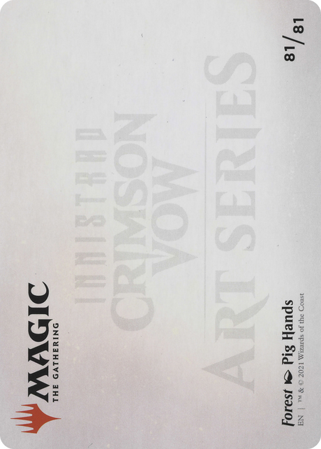 Forest // Forest [AVOW-81]