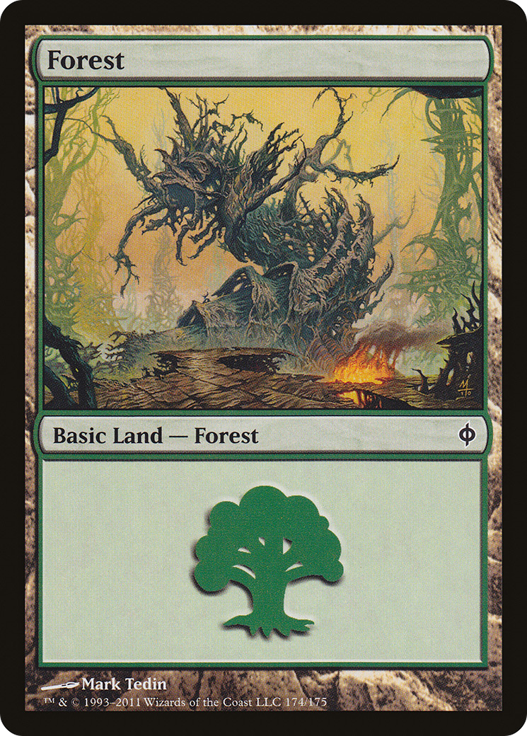 Forest [NPH-174]