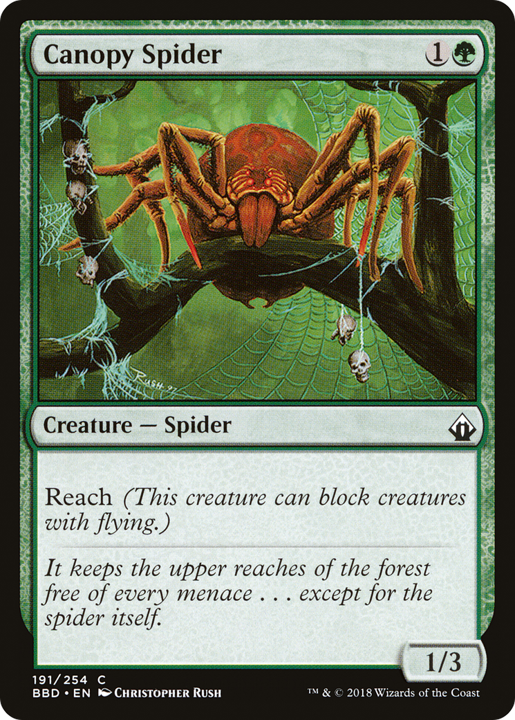 Canopy Spider [BBD-191]