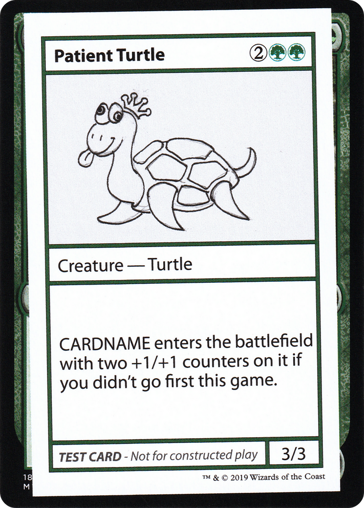 Patient Turtle [CMB2-82]