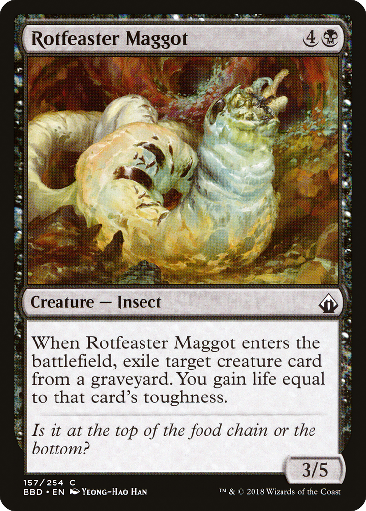 Rotfeaster Maggot [BBD-157]