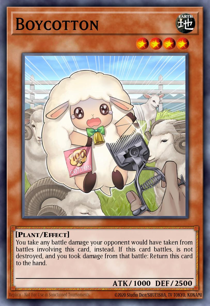 Boycotton [FLOD-EN035]