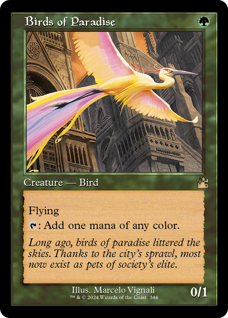Birds of Paradise [RVR-344]