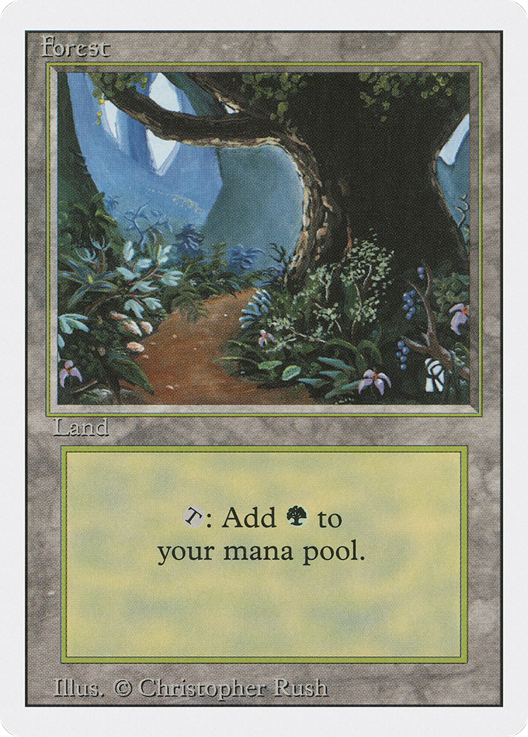 Forest [3ED-305]