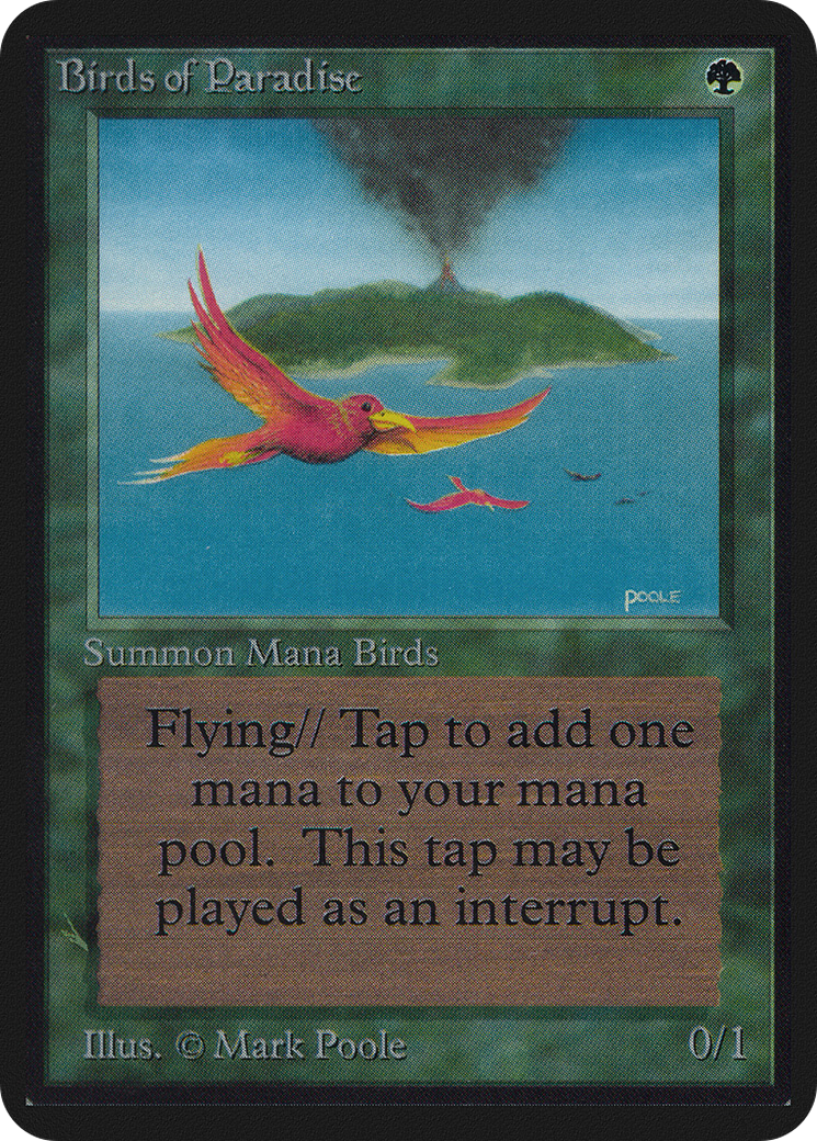 Birds of Paradise [LEA-186]