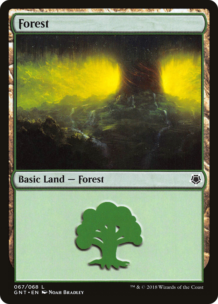 Forest [GNT-67]