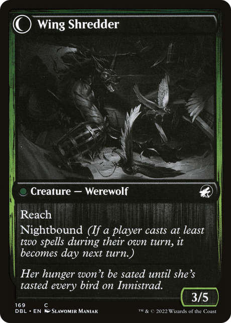 Bird Admirer // Wing Shredder [DBL-169]