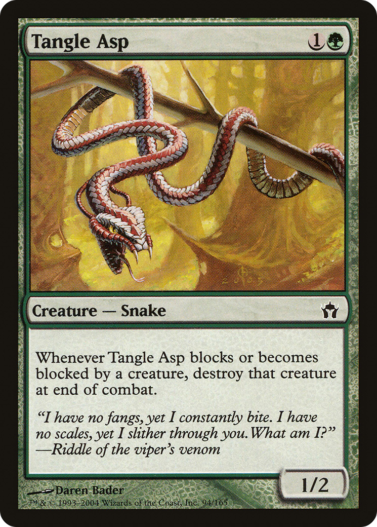 Tangle Asp [5DN-94]