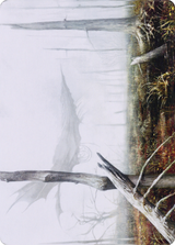 Swamp // Swamp [ADMU-64]