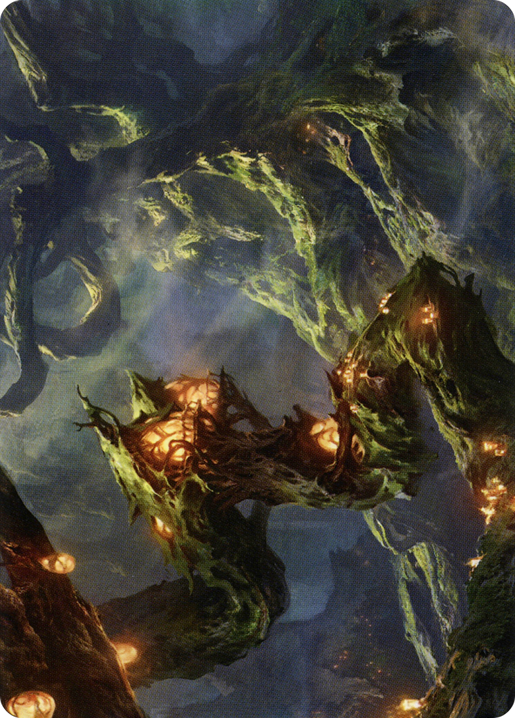 Forest // Forest [ASTX-50]