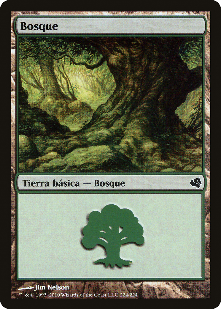 Forest [PS11-224]