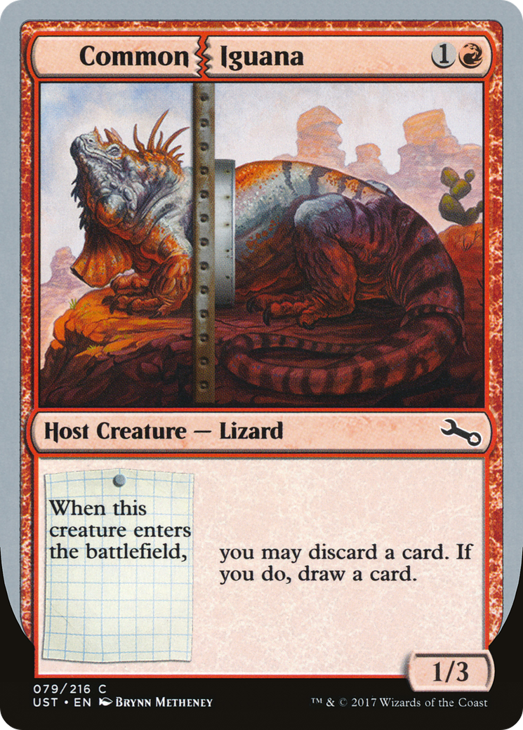 Common Iguana [UST-79]