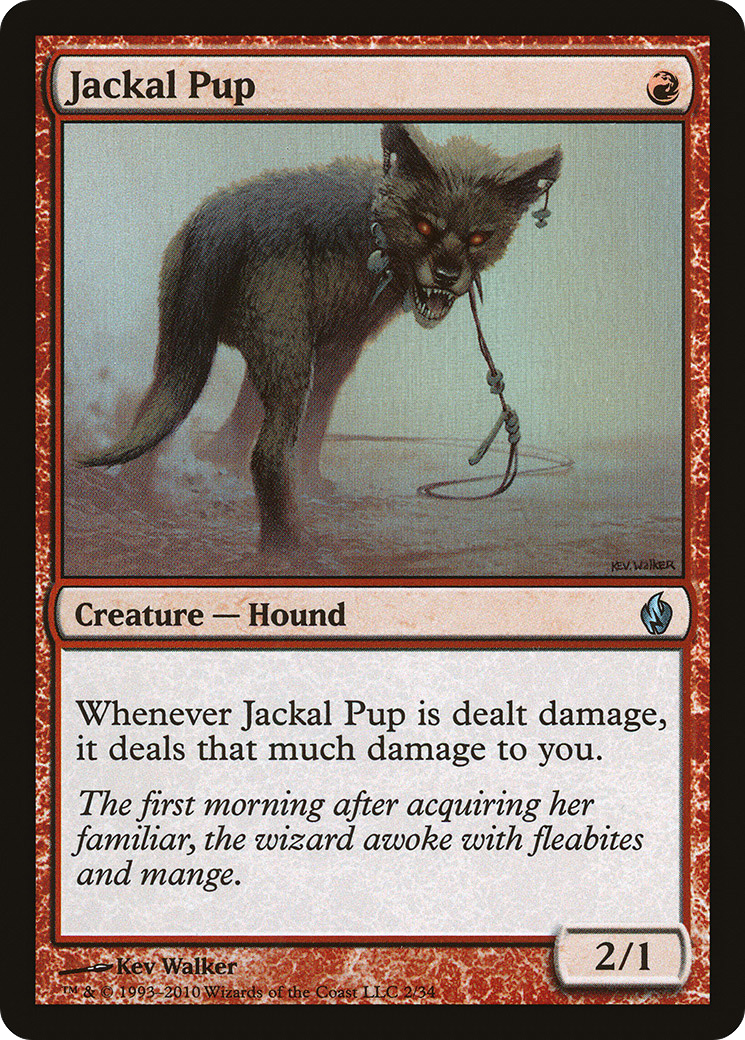 Jackal Pup [PD2-2]
