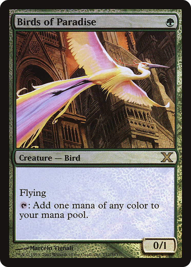 Birds of Paradise [10E-252★]