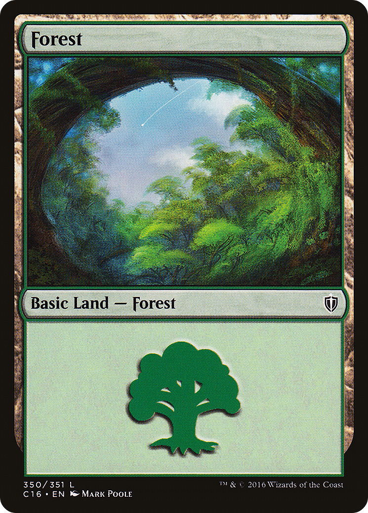 Forest [C16-350]