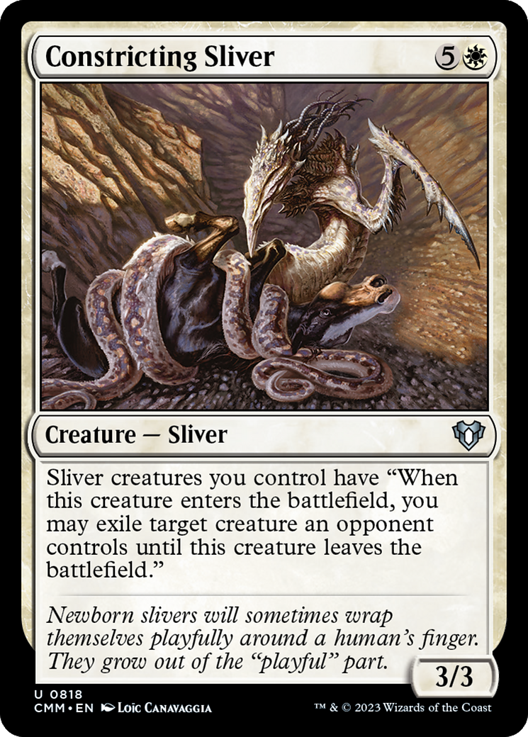 Constricting Sliver [CMM-818]
