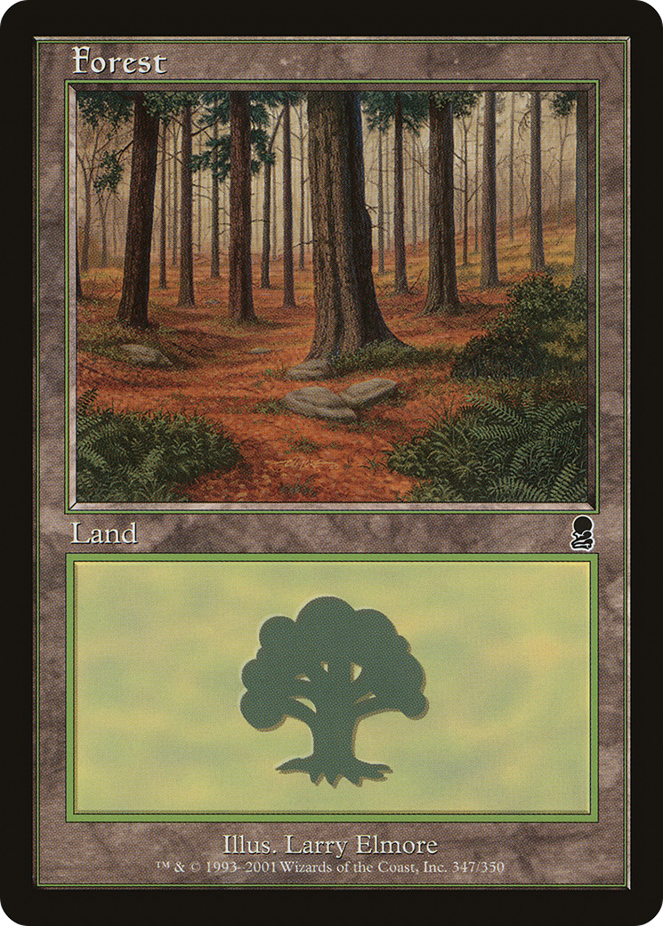 Forest [ODY-347]