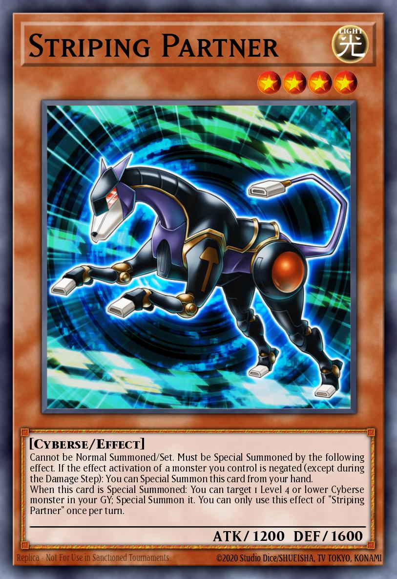 Striping Partner [EXFO-EN003]