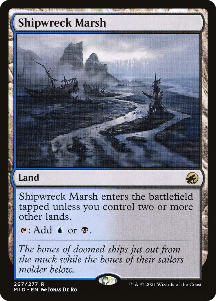 Shipwreck Marsh [MID-267]