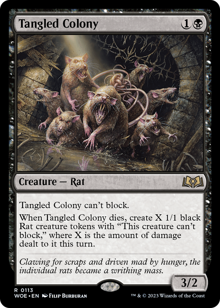 Tangled Colony [WOE-113]