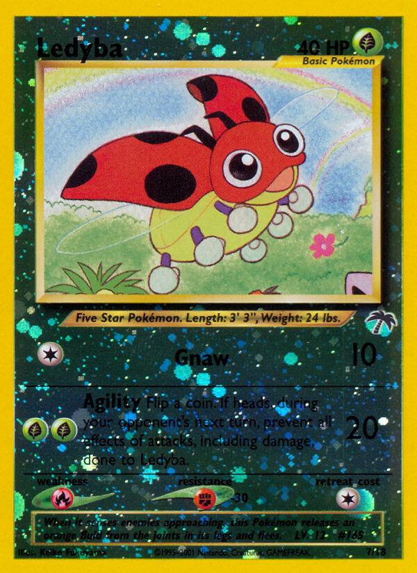 Ledyba [SI1-7]