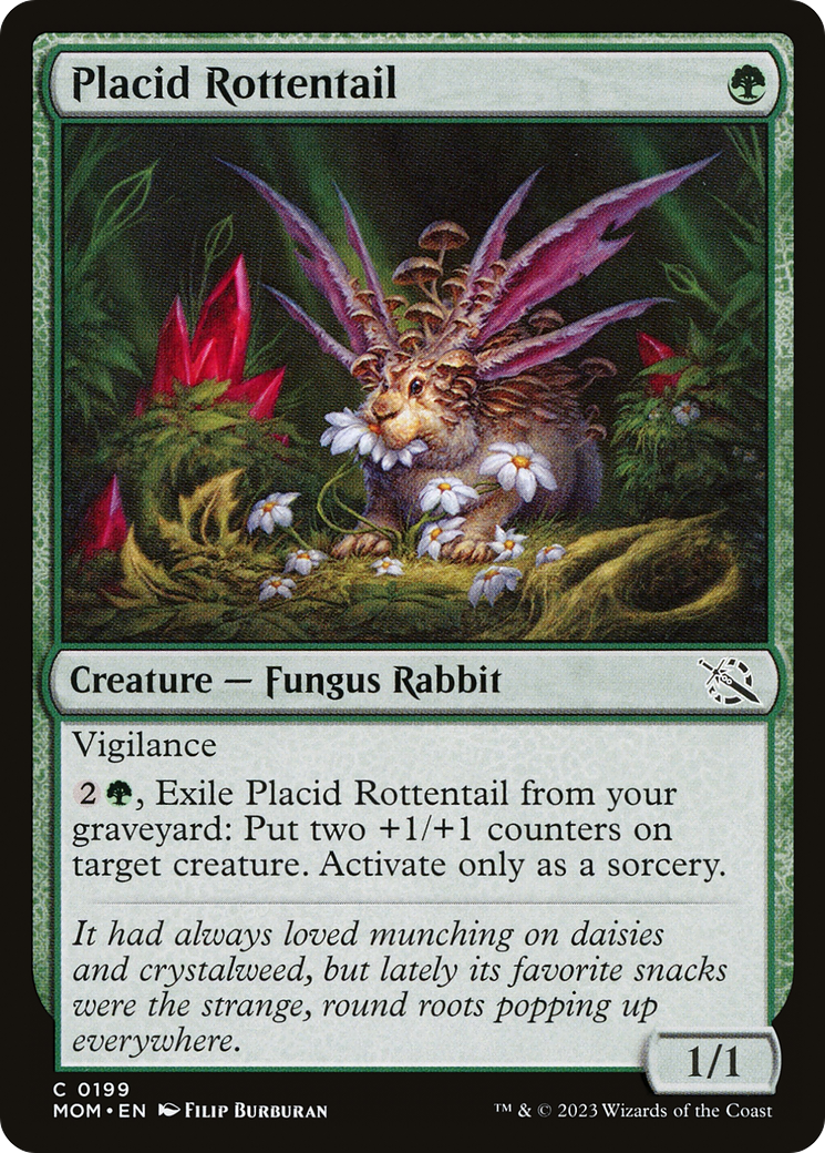 Placid Rottentail [MOM-199]