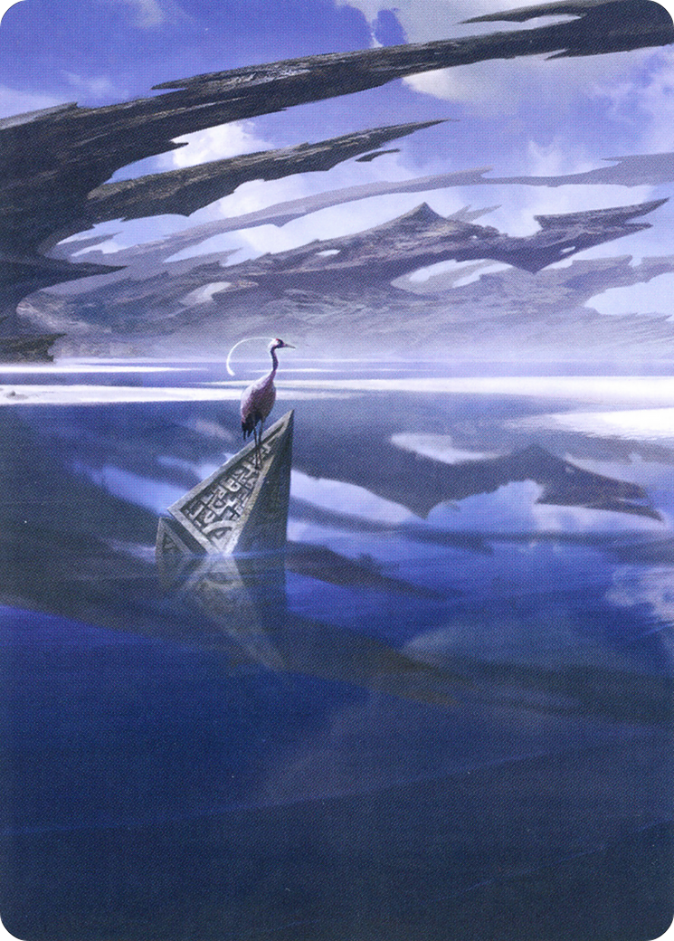 Seachrome Coast // Seachrome Coast - Borderless [AZNR-31]