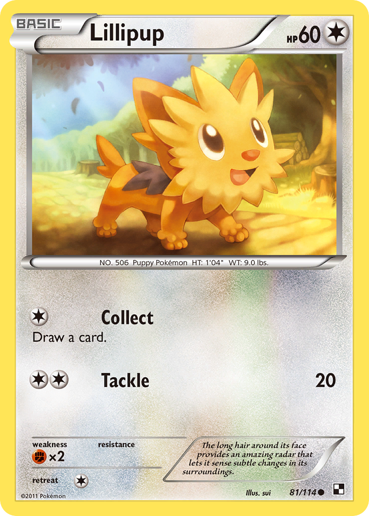 Lillipup [BW1-81]