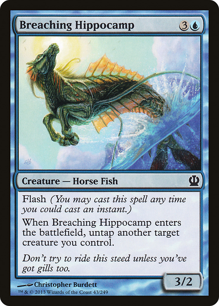 Breaching Hippocamp [THS-43]