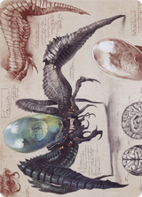Psychosis Crawler // Psychosis Crawler [ABRO-73]