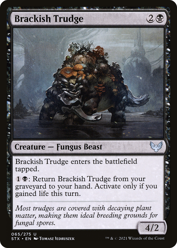 Brackish Trudge [STX-65]