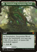Turntimber Symbiosis // Turntimber, Serpentine Wood - Extended Art [ZNR-364]