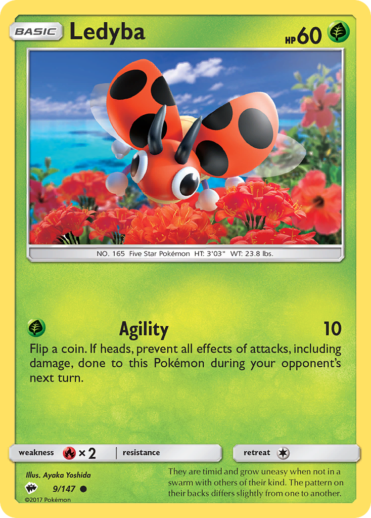 Ledyba [SM3-9]