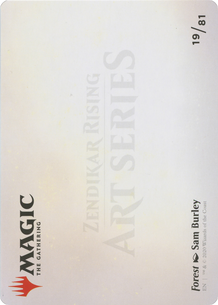 Forest // Forest - Borderless [AZNR-19]