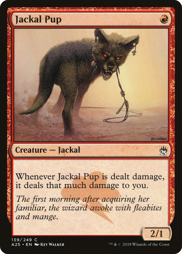 Jackal Pup [A25-139]