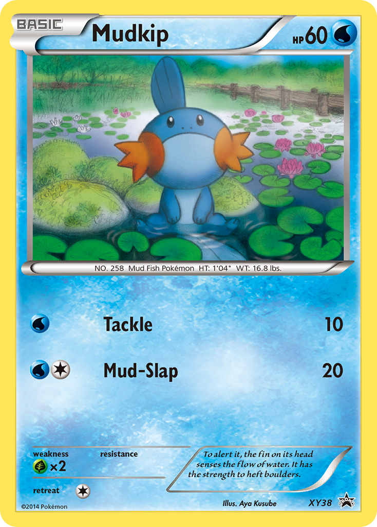 Mudkip [XYP-XY38]