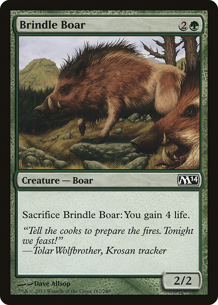 Brindle Boar [M14-167]