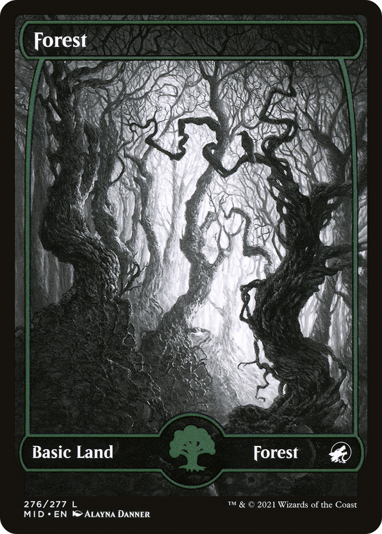 Forest - Showcase - Full Art [MID-276]