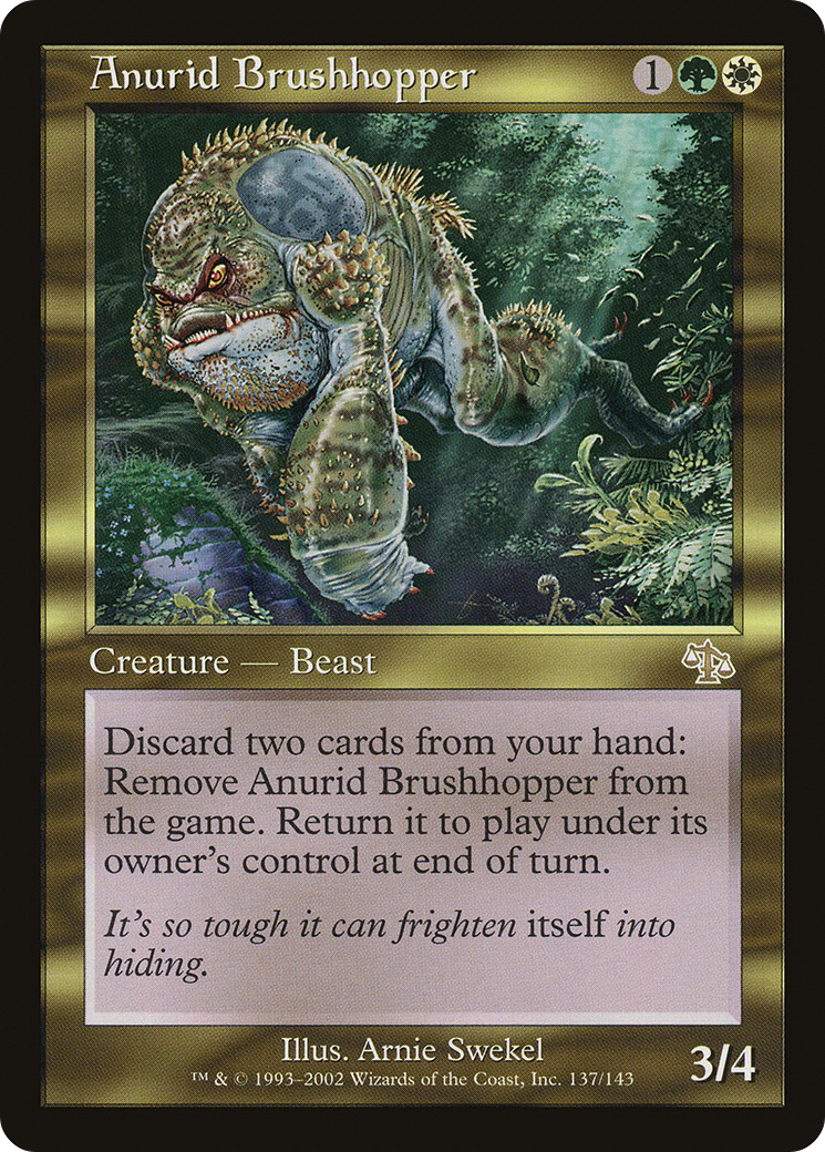 Anurid Brushhopper [JUD-137]
