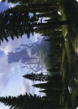 Forest // Forest [AAFR-61]