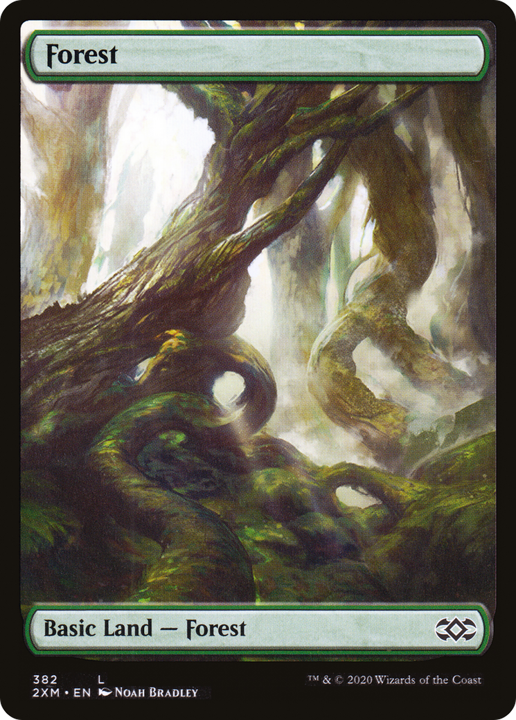 Forest - Full Art [2XM-382]
