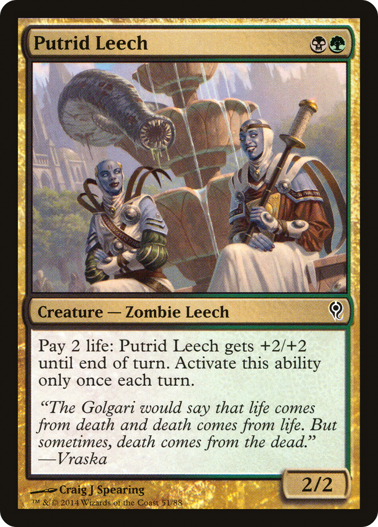 Putrid Leech [DDM-51]