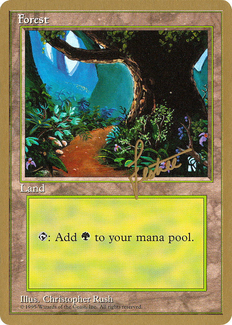 Forest [PTC-bl376]