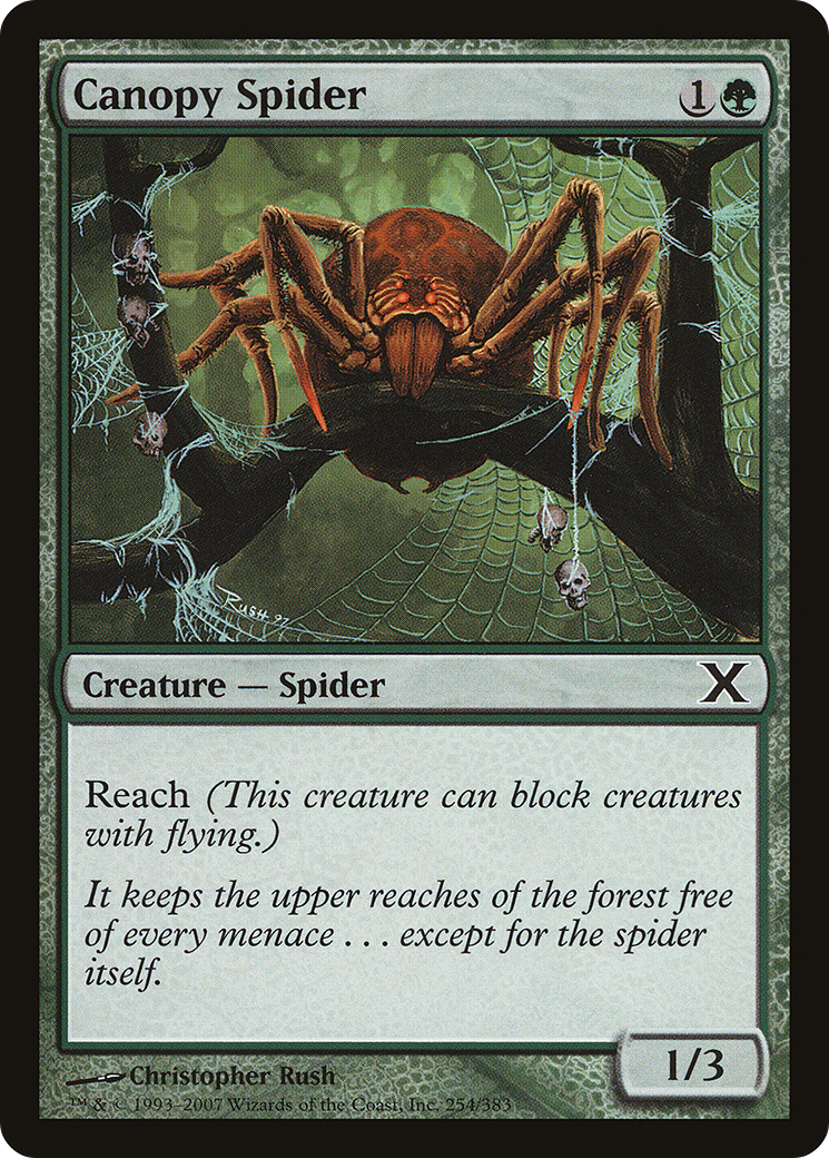 Canopy Spider [10E-254]