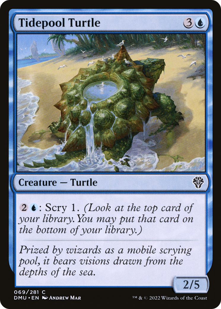 Tidepool Turtle [DMU-69]